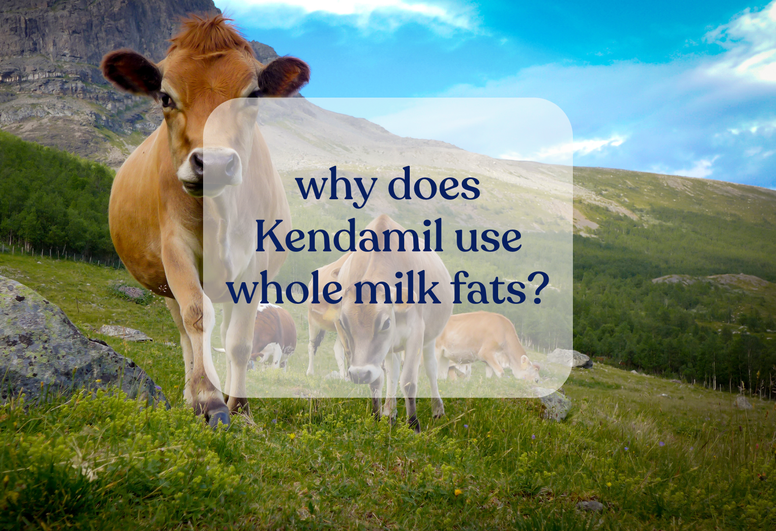 Why does Kendamil use whole milk fats?