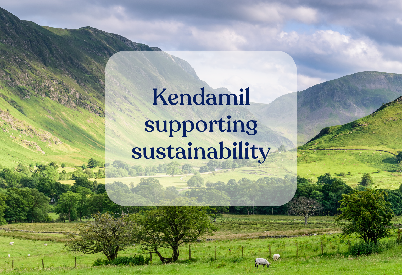 Kendamil: How we aim to support sustainability