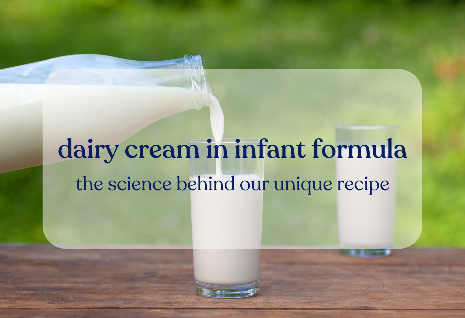 The role of dairy cream in infant formula