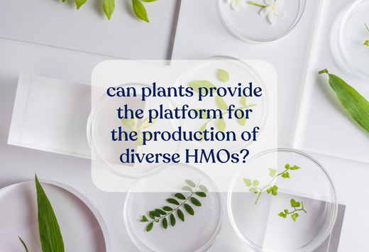 Can plants provide the platform for the production of diverse HMOs?