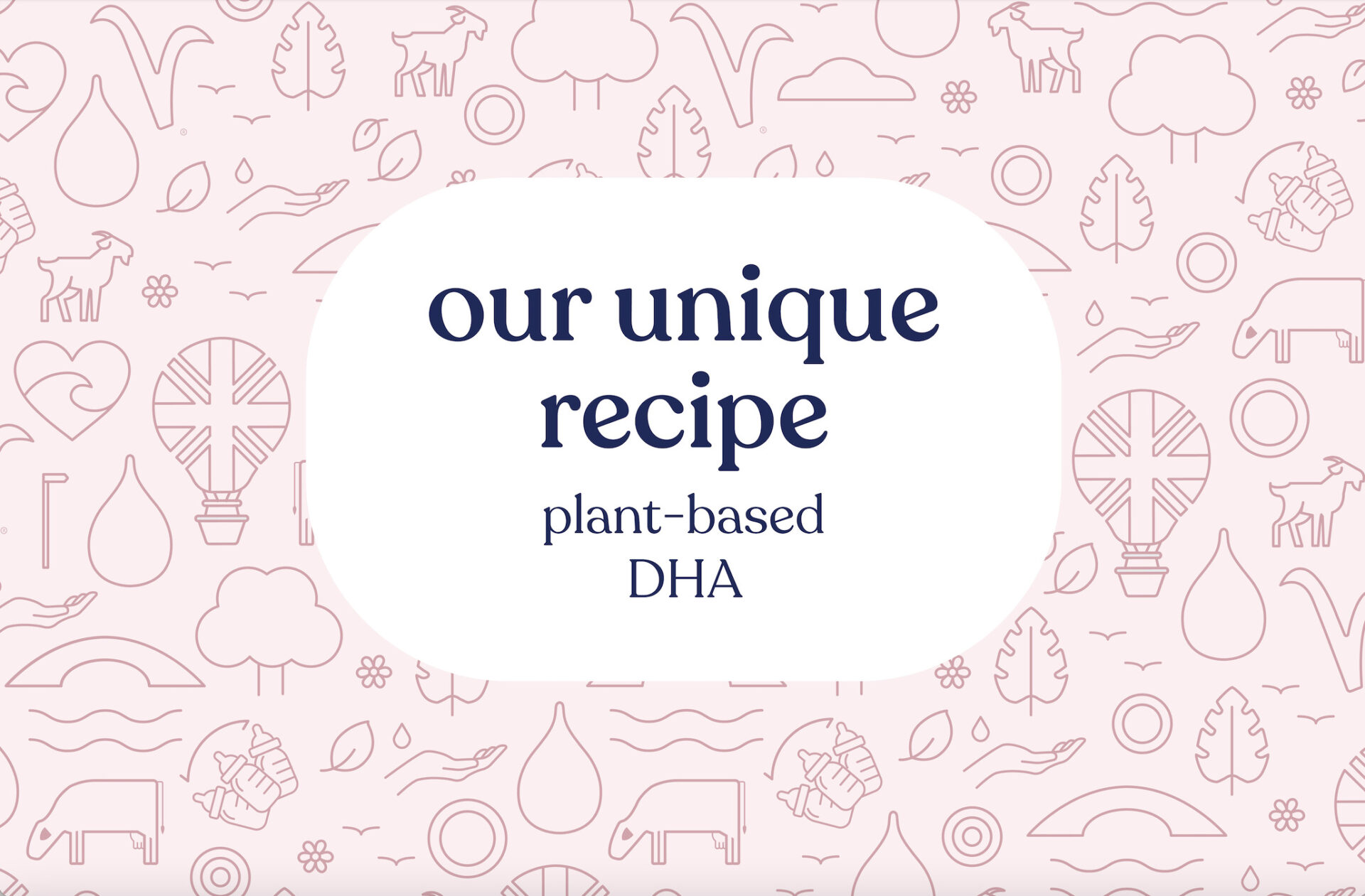 Our Unique Recipe: Plant-Based DHA